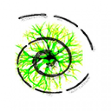 3delite MP4 Stream Editor