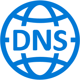 DNSDataView