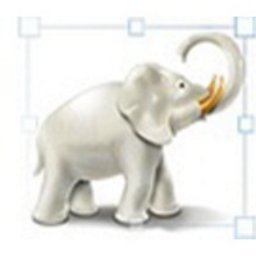 Image Tuner