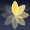 NCH Express Animate 9.35 Express Animate Software