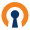 OpenVPN 2.6.5 VPN Software Solutions