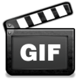 ThunderSoft GIF to Video Converter