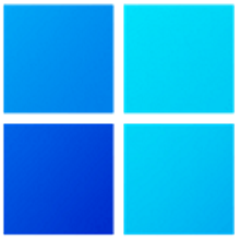 Windows 11 Pro