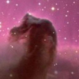 WinStars